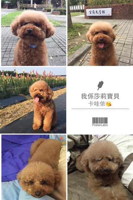 參加圖片