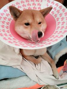 參加圖片