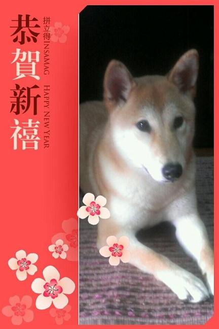 參加圖片